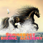 SummerSet riding academy