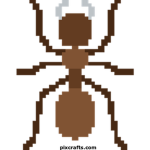 Thy ant colony of Mindy