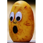 potato best group