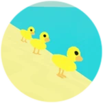 Baby Ducks 🦆