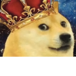 Doge Lords!