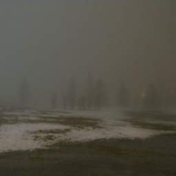 winter death