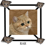 RAR Corporation