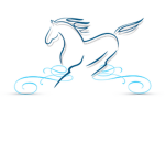 -Blue Starz Riding Academy-