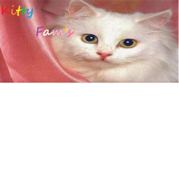 Kitty Fam's' HangOut