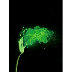 Green powers