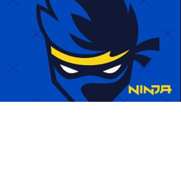 ninja hangout not officaly done test mode