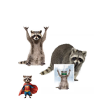 SuperCoons41