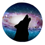 Galaxy Cookie Wolves