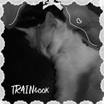 - TR4IN6ook -