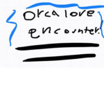 ~orca love~orca encounter