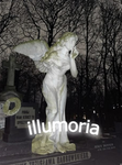 iIlumoria