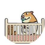 Lil Baby Chomik