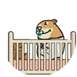 Lil Baby Chomik