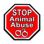 STOP THE ANIMAL ABUSE PLEASE