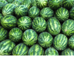 Watermelon_peeps