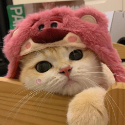 ฅ