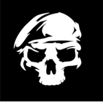 intelligence forces