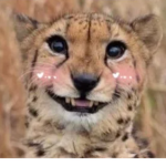 Marshal is a zoologist