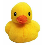 Pond Of Ducks