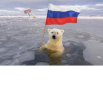 Russian bear!