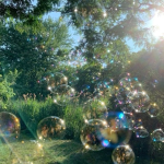 Dreamscape Delights