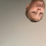 Mason, the dog