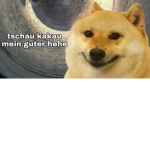 rebex hh