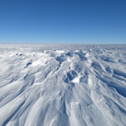 The South Pole