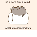 ~ Marshmello squad ~