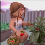 The StrawberrySquad