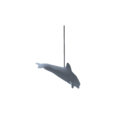 Dolphin Decoration