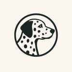 Dalmatian studio