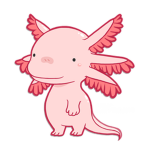 The axolotl's love