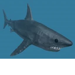 Shark icon