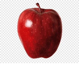 el mundo xd icon