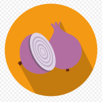 Onion Studio's