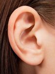 ear.