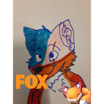 Furry Pro Group