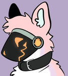 RoseTheGoob Chat