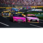 Nascar Sim Race (Fan Group)