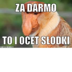 " S-ł-o-d-z-i-a-c-z-k-i"