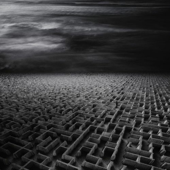 The Maze