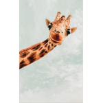 My giraffe’s!