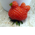 Strawberries.loves