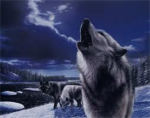 Wolf Pack (Werewolves)