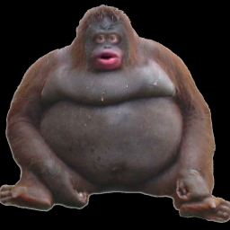 Escape WILD Uh Oh Stinky! (Obby)