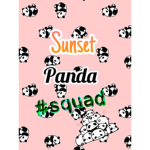 Sunset Panda Squad!