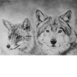 Fox&Wolf