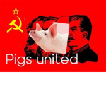 Pigs United Union